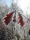 2022-12-15 - Bierberg (17)